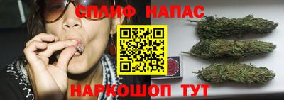 молекула духа Пенза