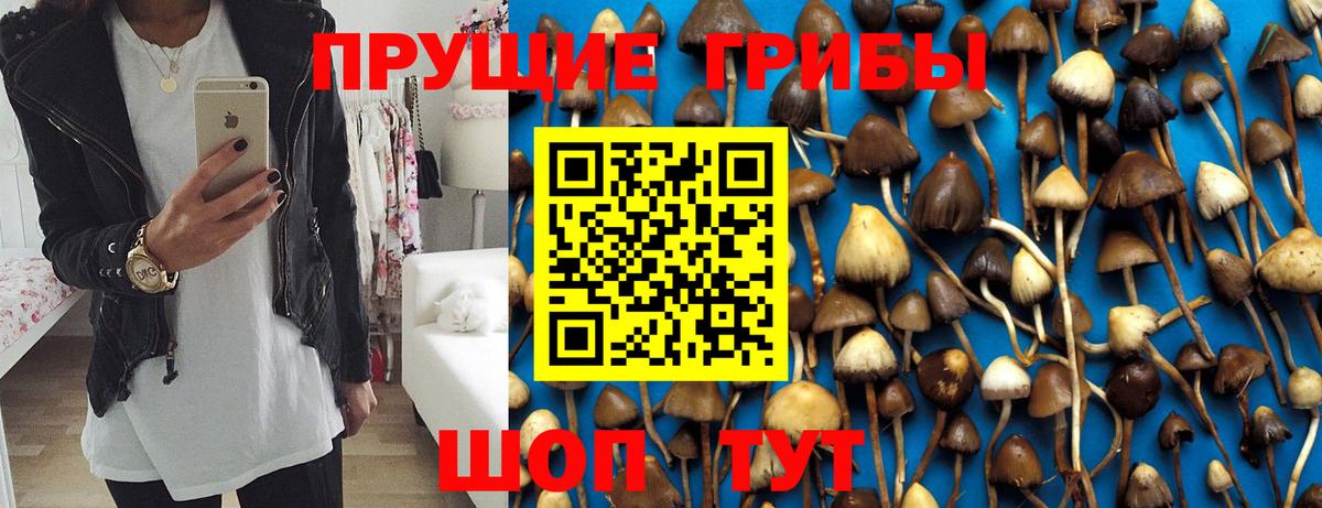 Советский  Псилоцибиновые грибы Cubensis  Вход с VPN  Галлюциногенные грибы прущие грибы 